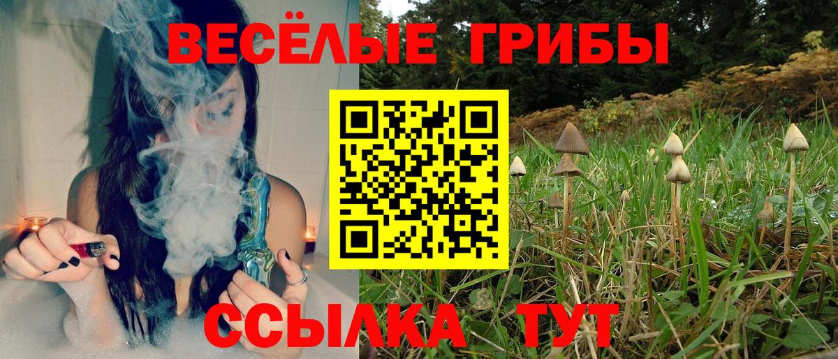 Галлюциногенные грибы MAGIC MUSHROOMS  Вход с VPN  Батайск 