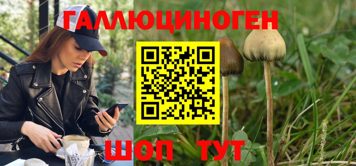 Псилоцибиновые грибы мухоморы Батайск